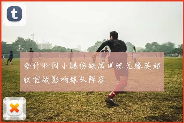 舍什科因小腿伤缺席训练无缘英超收官战影响球队阵容