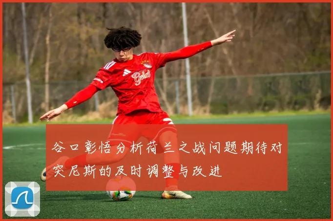 谷口彰悟分析荷兰之战问题期待对突尼斯的及时调整与改进